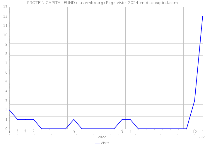 PROTEIN CAPITAL FUND (Luxembourg) Page visits 2024 