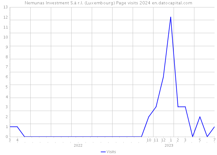 Nemunas Investment S.à r.l. (Luxembourg) Page visits 2024 