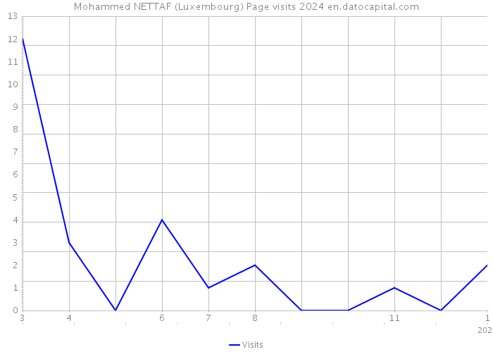 Mohammed NETTAF (Luxembourg) Page visits 2024 