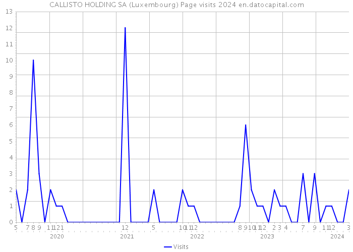 CALLISTO HOLDING SA (Luxembourg) Page visits 2024 