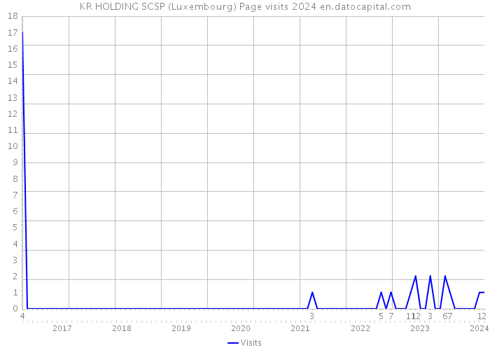 KR HOLDING SCSP (Luxembourg) Page visits 2024 