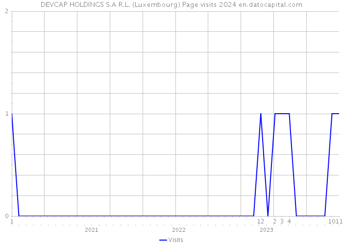 DEVCAP HOLDINGS S.A R.L. (Luxembourg) Page visits 2024 