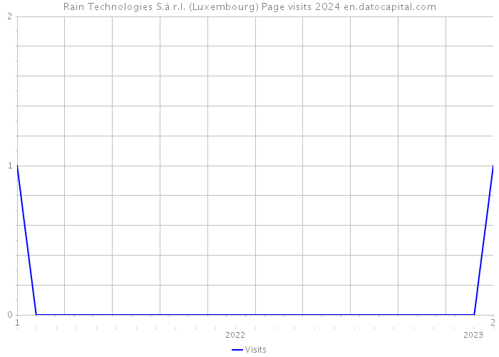 Rain Technologies S.à r.l. (Luxembourg) Page visits 2024 