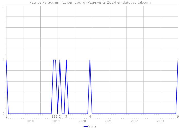 Patrice Paracchini (Luxembourg) Page visits 2024 