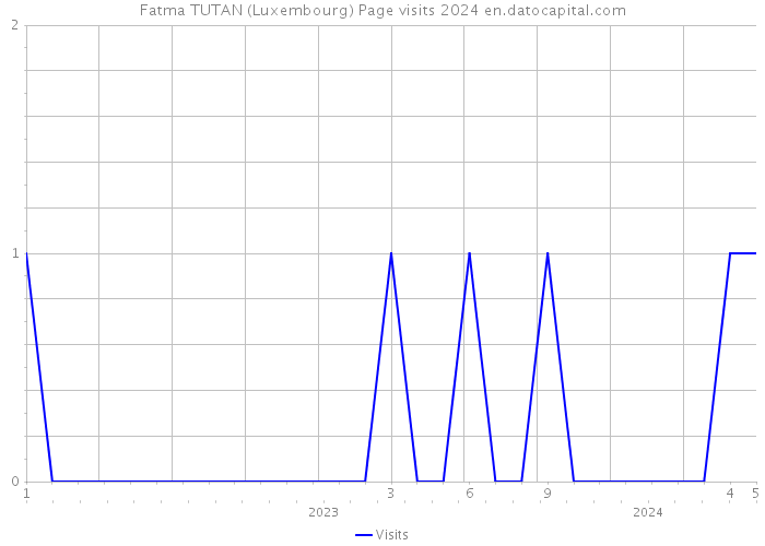 Fatma TUTAN (Luxembourg) Page visits 2024 