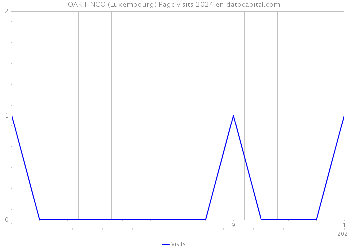 OAK FINCO (Luxembourg) Page visits 2024 