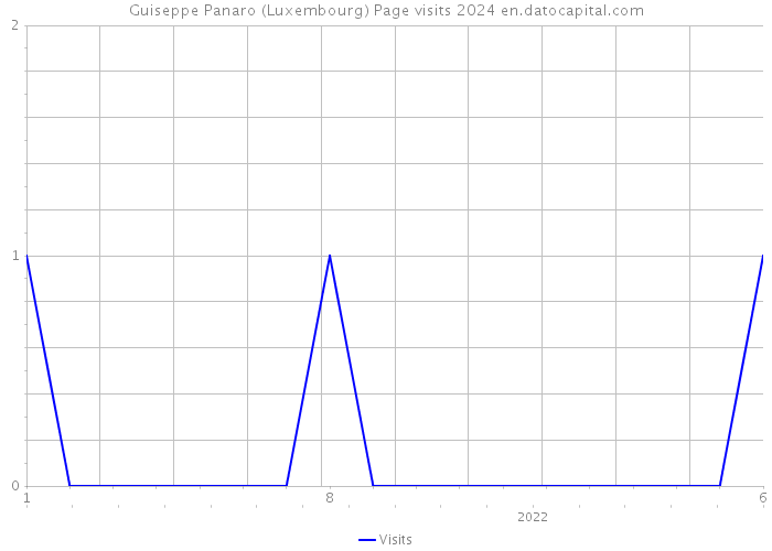 Guiseppe Panaro (Luxembourg) Page visits 2024 