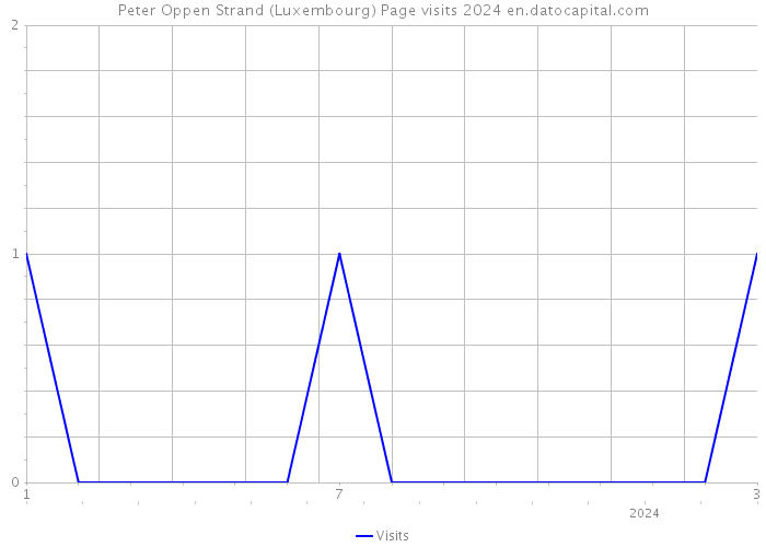 Peter Oppen Strand (Luxembourg) Page visits 2024 