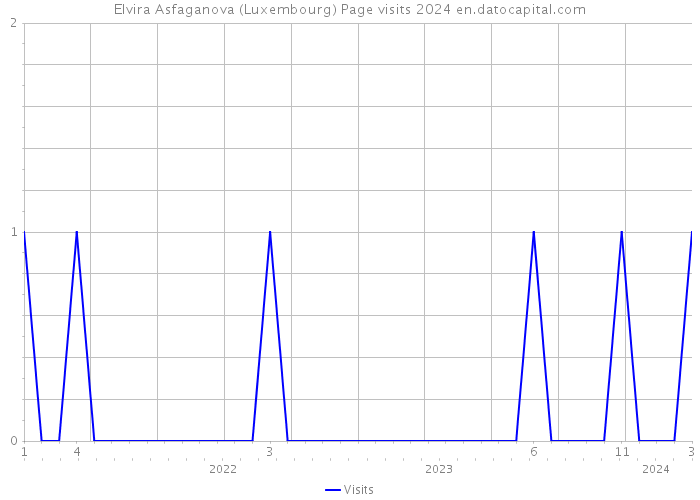 Elvira Asfaganova (Luxembourg) Page visits 2024 