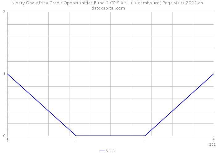 Ninety One Africa Credit Opportunities Fund 2 GP S.à r.l. (Luxembourg) Page visits 2024 