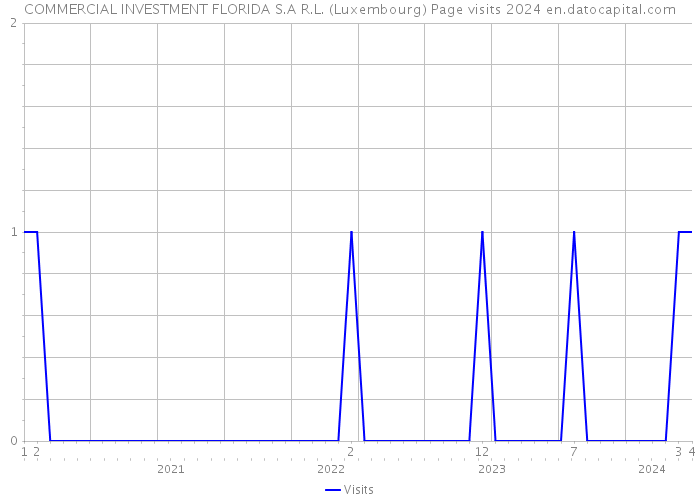 COMMERCIAL INVESTMENT FLORIDA S.A R.L. (Luxembourg) Page visits 2024 