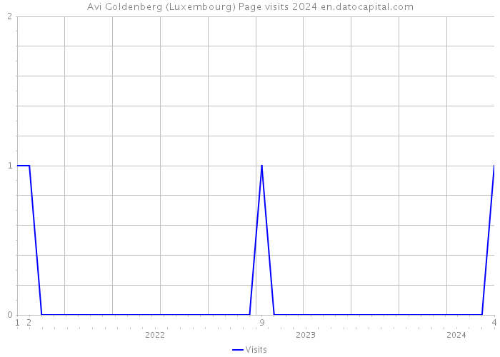 Avi Goldenberg (Luxembourg) Page visits 2024 