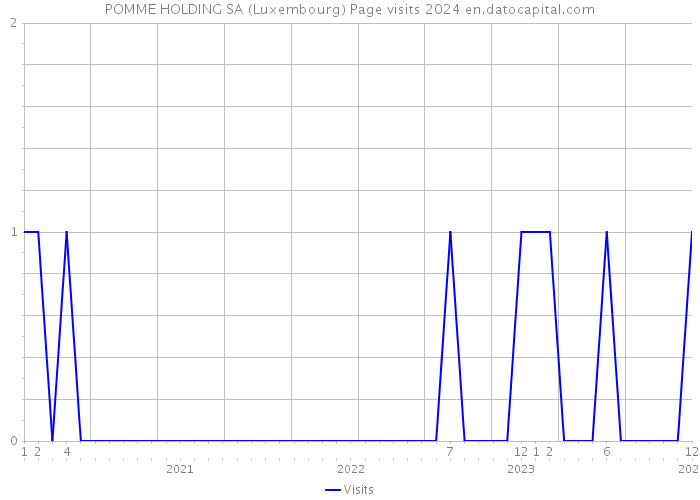 POMME HOLDING SA (Luxembourg) Page visits 2024 