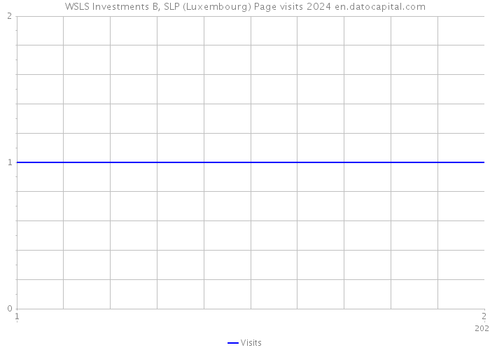 WSLS Investments B, SLP (Luxembourg) Page visits 2024 