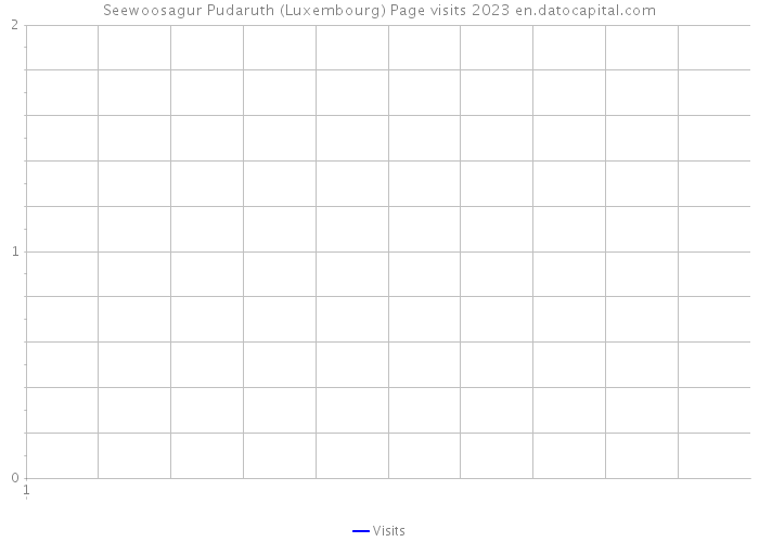 Seewoosagur Pudaruth (Luxembourg) Page visits 2023 