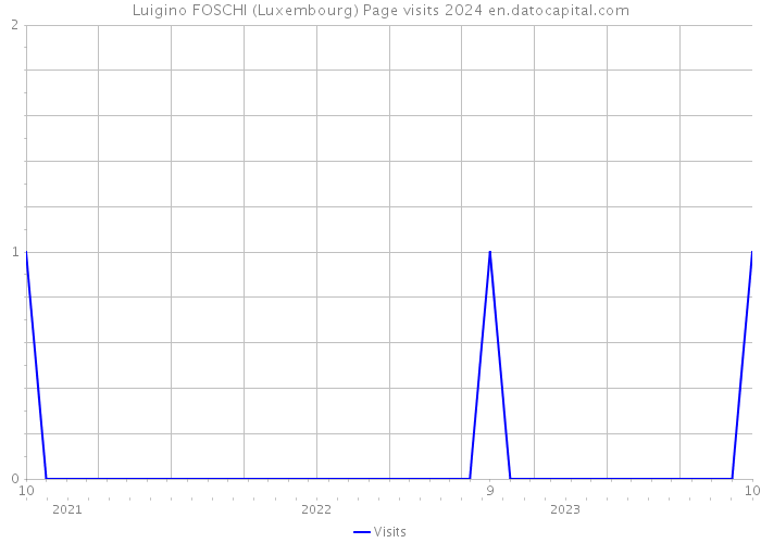 Luigino FOSCHI (Luxembourg) Page visits 2024 