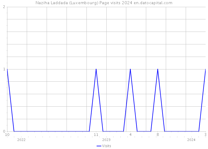 Naziha Laddada (Luxembourg) Page visits 2024 