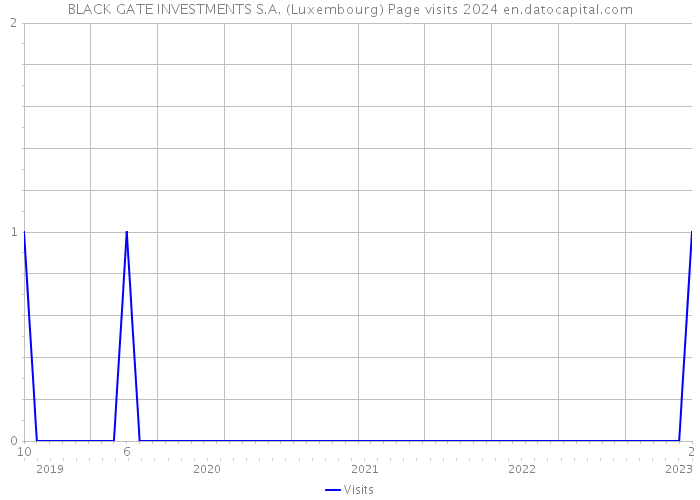 BLACK GATE INVESTMENTS S.A. (Luxembourg) Page visits 2024 