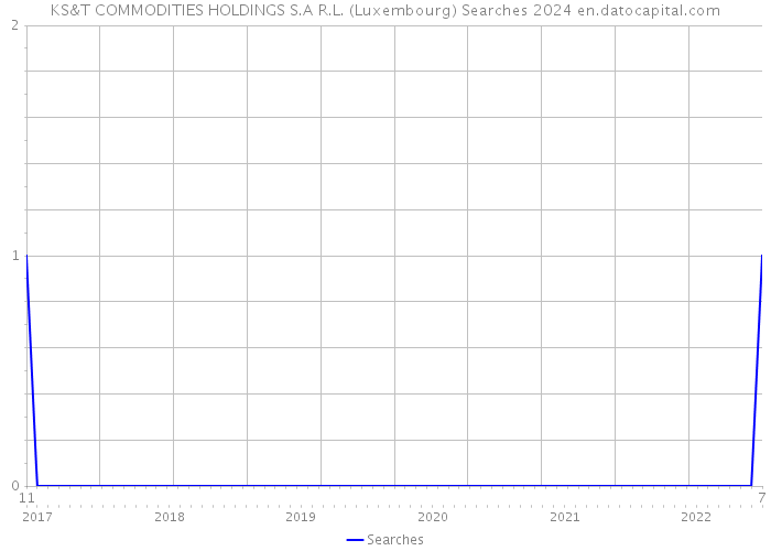 KS&T COMMODITIES HOLDINGS S.A R.L. (Luxembourg) Searches 2024 