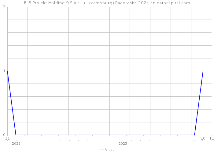 BLB Projekt Holding 9 S.à r.l. (Luxembourg) Page visits 2024 