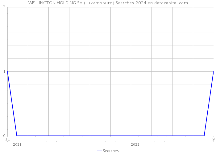 WELLINGTON HOLDING SA (Luxembourg) Searches 2024 