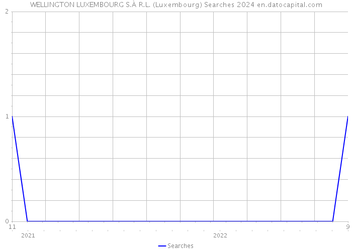 WELLINGTON LUXEMBOURG S.À R.L. (Luxembourg) Searches 2024 