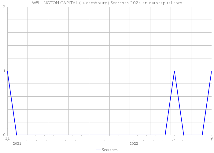 WELLINGTON CAPITAL (Luxembourg) Searches 2024 