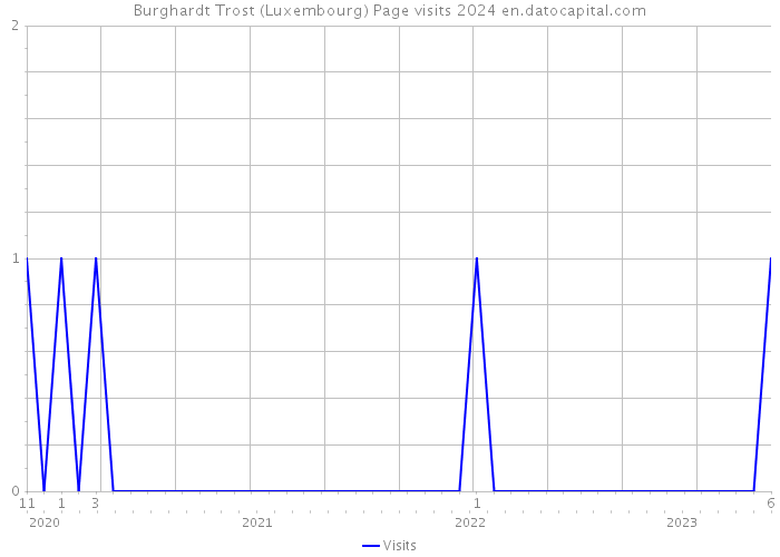 Burghardt Trost (Luxembourg) Page visits 2024 