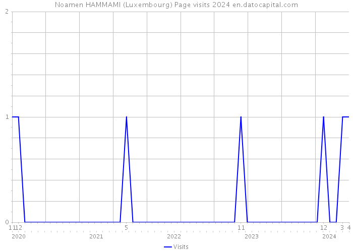 Noamen HAMMAMI (Luxembourg) Page visits 2024 