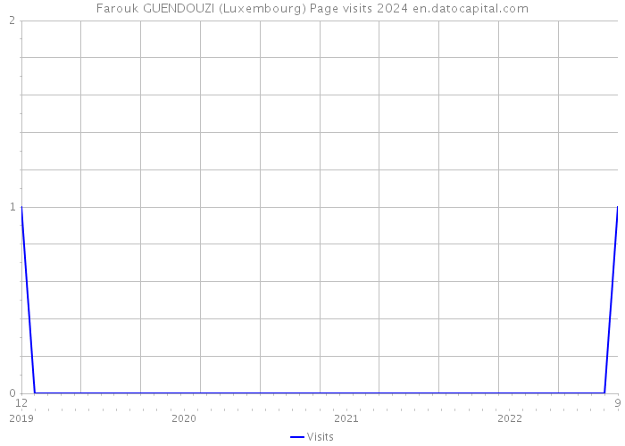 Farouk GUENDOUZI (Luxembourg) Page visits 2024 