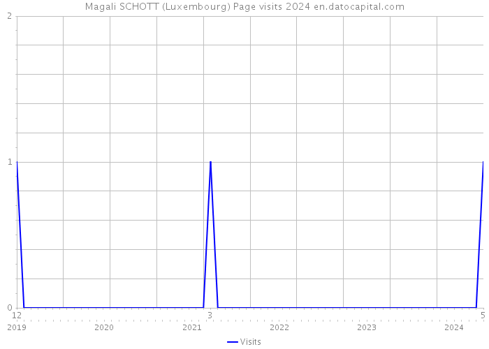 Magali SCHOTT (Luxembourg) Page visits 2024 