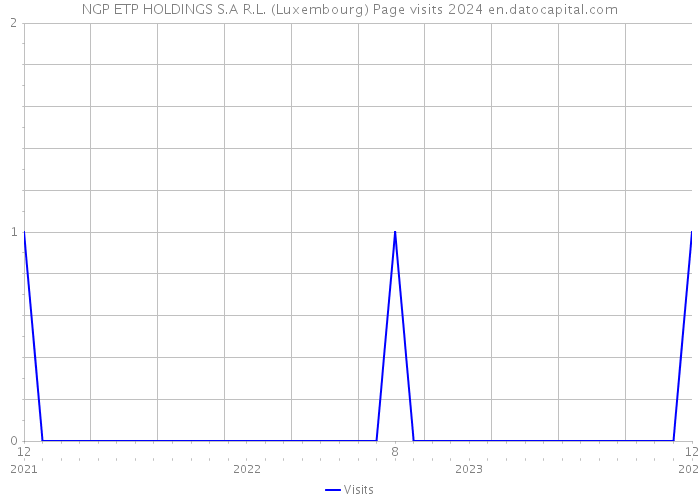 NGP ETP HOLDINGS S.A R.L. (Luxembourg) Page visits 2024 