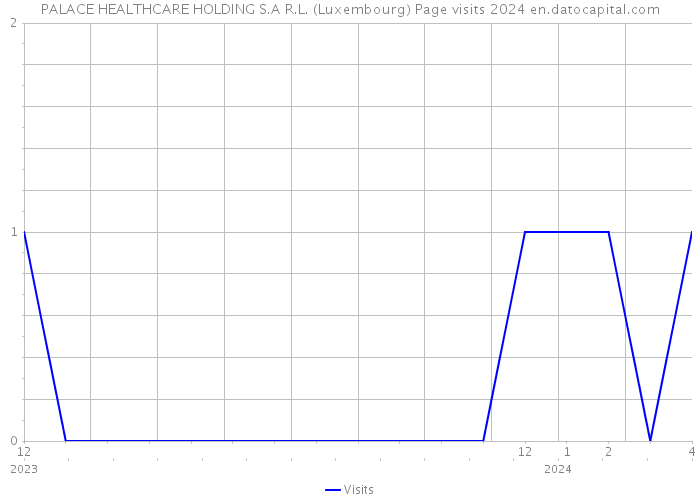 PALACE HEALTHCARE HOLDING S.A R.L. (Luxembourg) Page visits 2024 