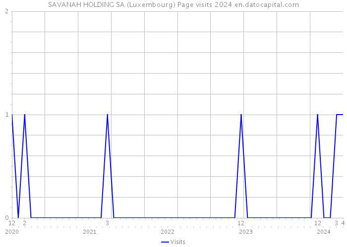 SAVANAH HOLDING SA (Luxembourg) Page visits 2024 