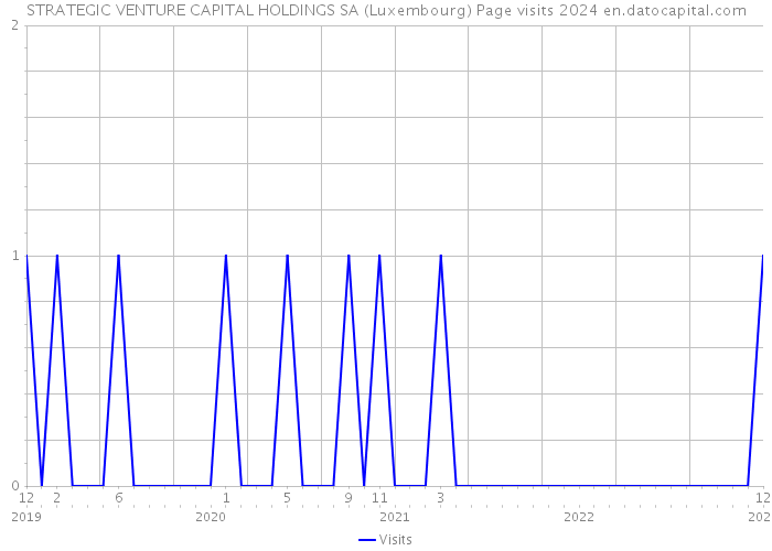 STRATEGIC VENTURE CAPITAL HOLDINGS SA (Luxembourg) Page visits 2024 