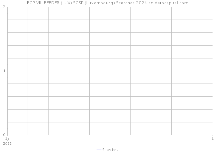 BCP VIII FEEDER (LUX) SCSP (Luxembourg) Searches 2024 