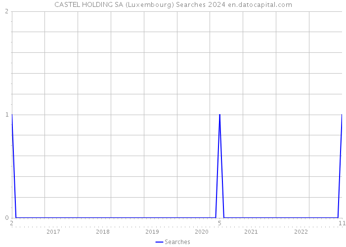 CASTEL HOLDING SA (Luxembourg) Searches 2024 