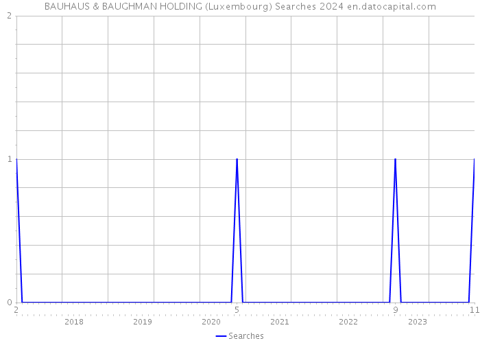 BAUHAUS & BAUGHMAN HOLDING (Luxembourg) Searches 2024 