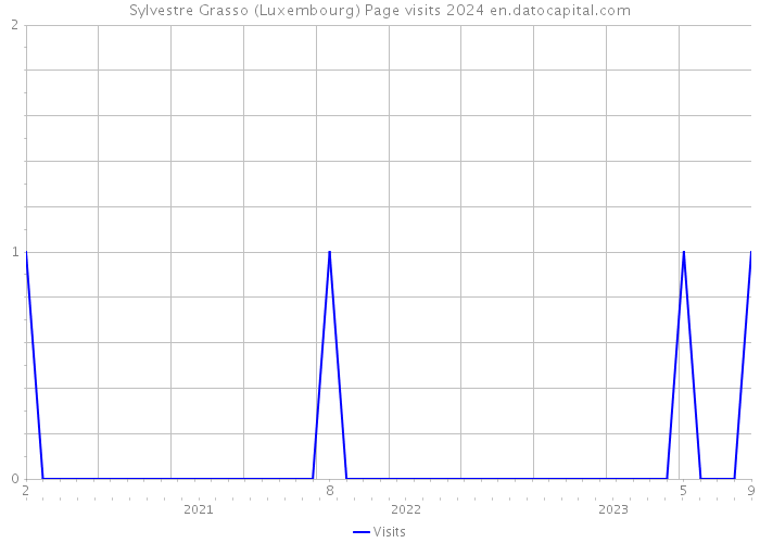 Sylvestre Grasso (Luxembourg) Page visits 2024 