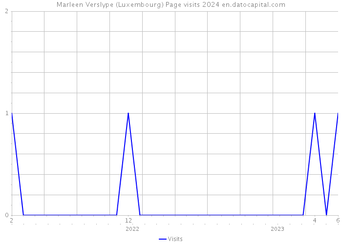 Marleen Verslype (Luxembourg) Page visits 2024 