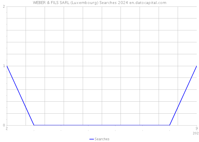 WEBER & FILS SARL (Luxembourg) Searches 2024 