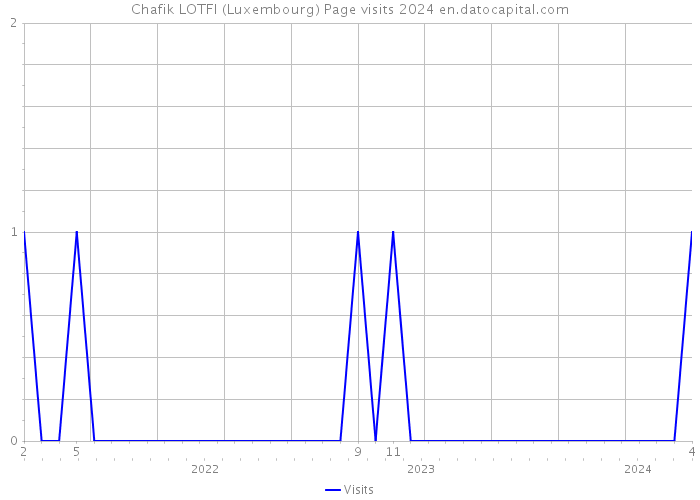 Chafik LOTFI (Luxembourg) Page visits 2024 