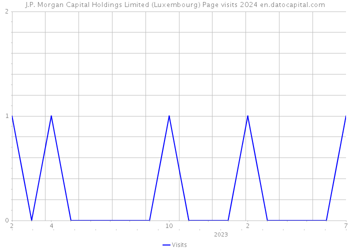 J.P. Morgan Capital Holdings Limited (Luxembourg) Page visits 2024 
