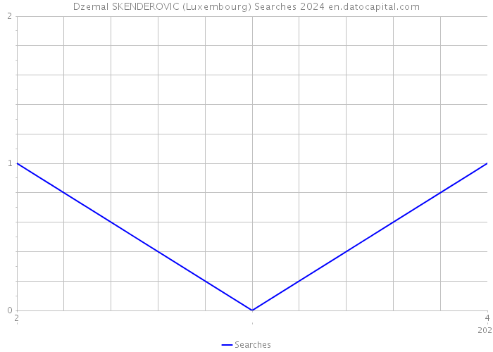 Dzemal SKENDEROVIC (Luxembourg) Searches 2024 