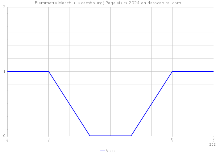 Fiammetta Macchi (Luxembourg) Page visits 2024 