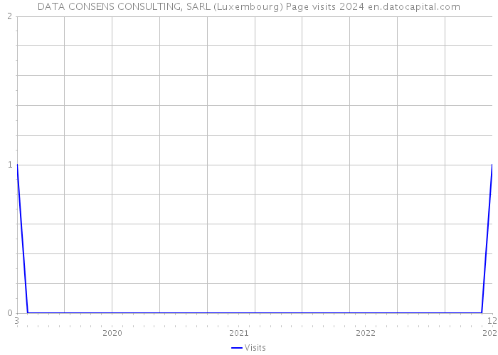 DATA CONSENS CONSULTING, SARL (Luxembourg) Page visits 2024 