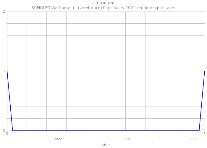 seintragung SCHOLER Wolfgang (Luxembourg) Page visits 2024 