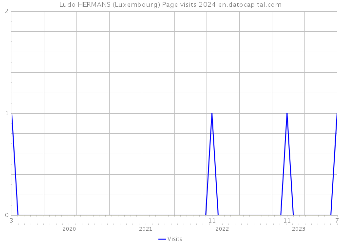 Ludo HERMANS (Luxembourg) Page visits 2024 