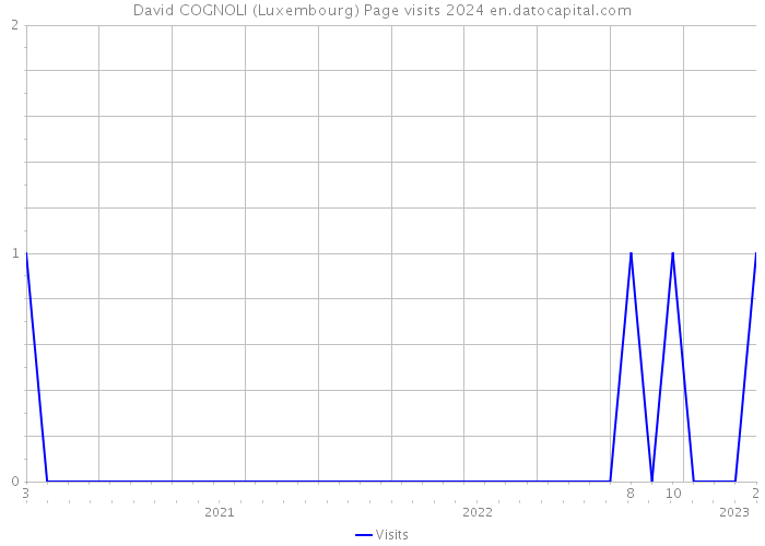 David COGNOLI (Luxembourg) Page visits 2024 