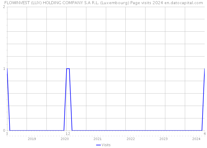 FLOWINVEST (LUX) HOLDING COMPANY S.A R.L. (Luxembourg) Page visits 2024 